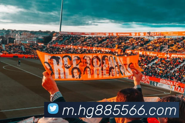 平台使命图